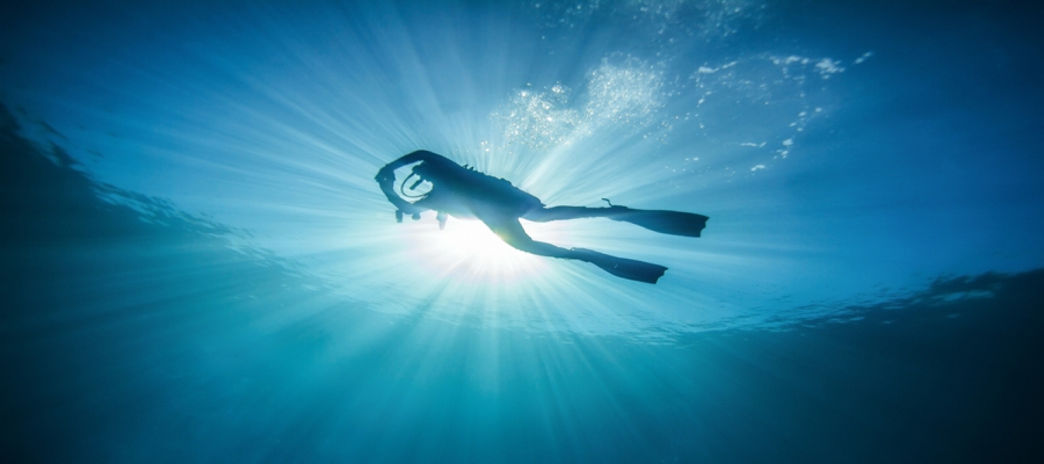 Alexandra Wreck Diving Site