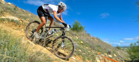 Parcours cyclable forêt de Rizoelia