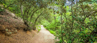 Kionia - Profitis Ilias (Linear) - Lefkosia (Nicosia) District, Machairas Forest Nature Trail