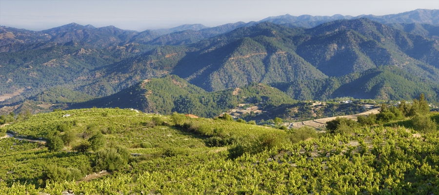 Vouni Panagias - Ambelitis Wine Route