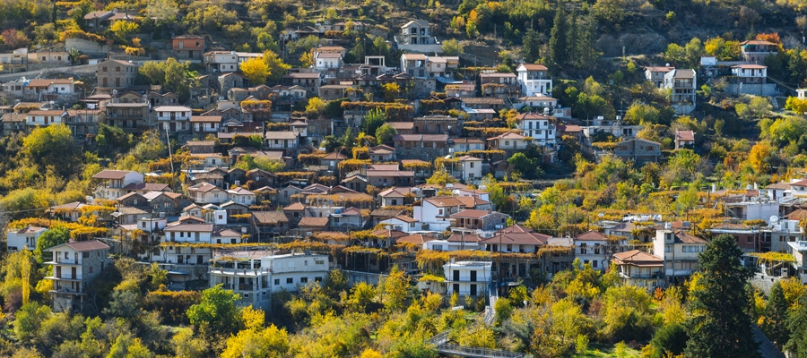 Οινική Διαδρομή Πιτσιλιά