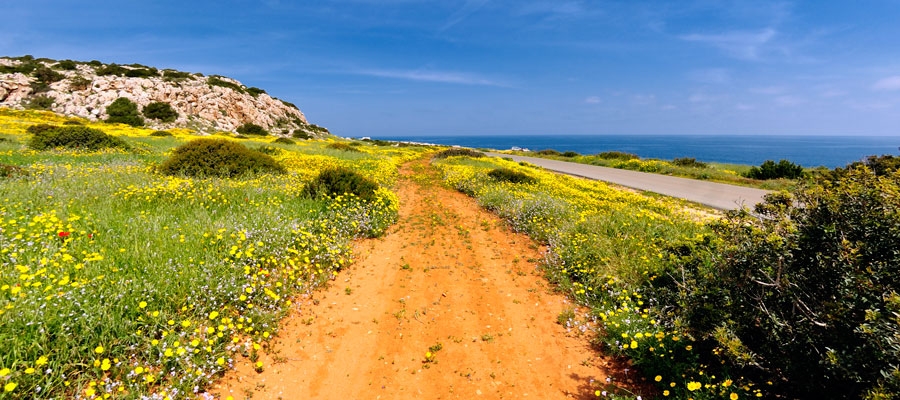 Aphrodite (Circular), Ammochostos (Famagusta) District, Cape Gkreko National Forest Park Nature Trail Agia Napa