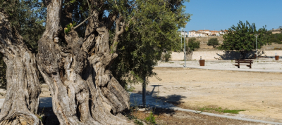 Ψεματισμένος MTB Μέτρια