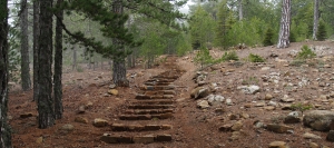 Persefoni (linéaire) - région de Lemesos (Limassol), forêt du Troodos Sentiers nature