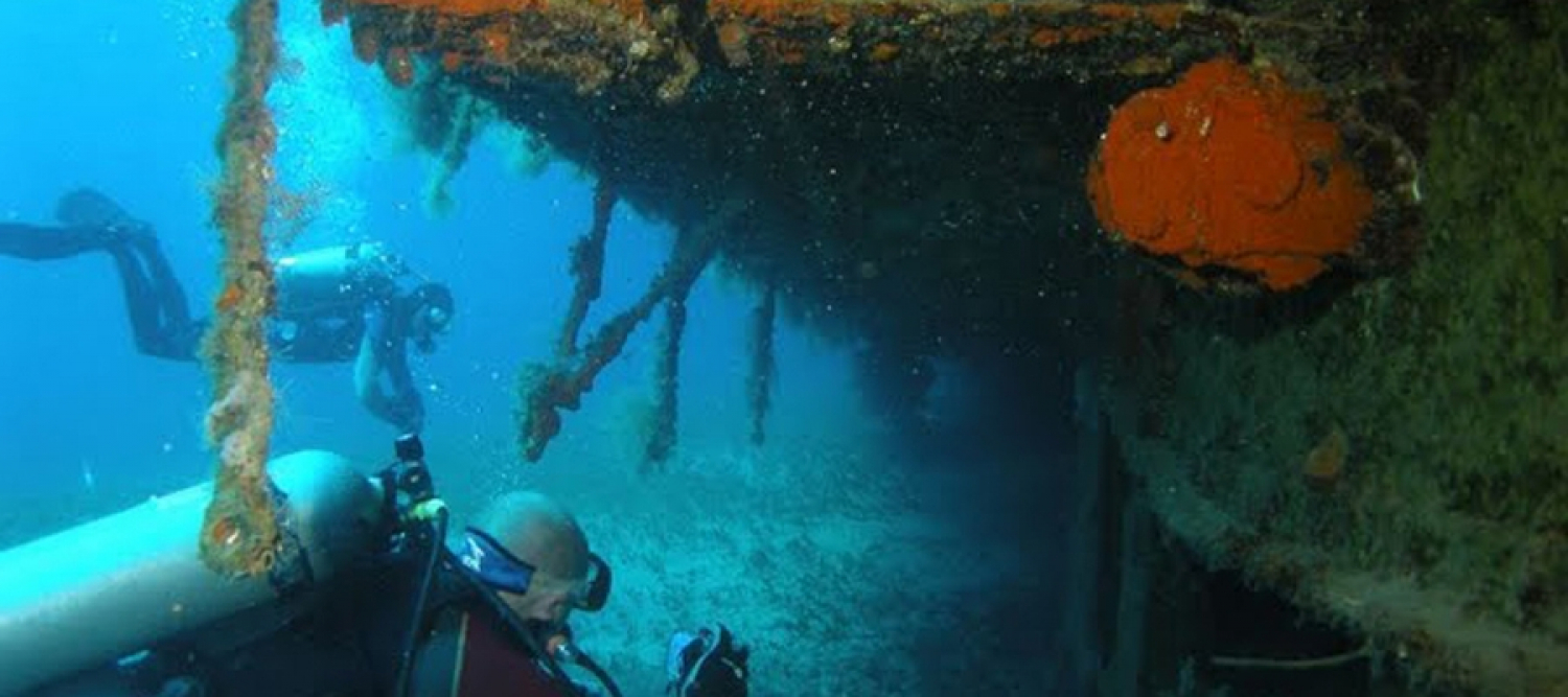 HMS Cricket Shipwreck